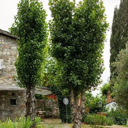 Terre Di San Gorgone