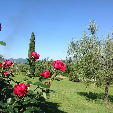 Apartament Terre Di San Gorgone *